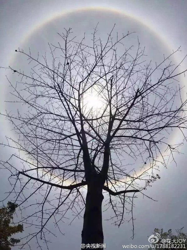 Solar halo appearing over the sky in Shenzhen, Guangdong Province, on Friday  