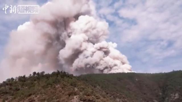 Death toll rises to 31 in forestfire in southwest China's Sichuan Province. The newly reported victim was a 50-year-old female forestry official who lost contact in the forest while battling the blaze and was found dead on Thursday.   