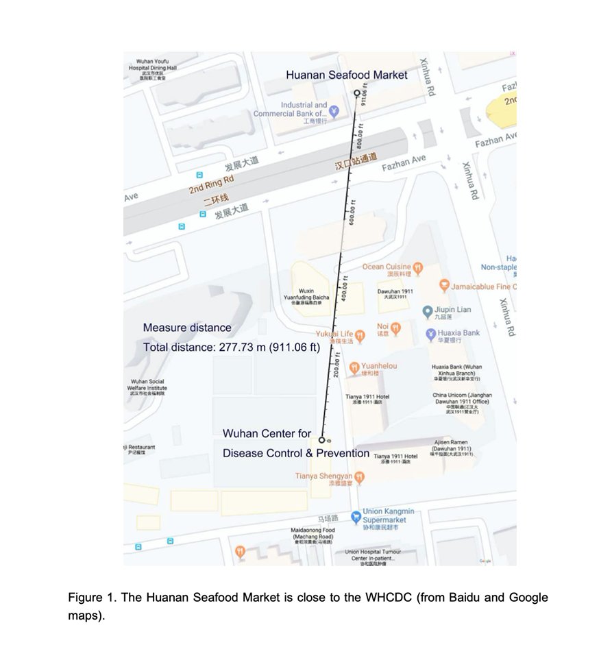 South China University of Technology biology Xiao Botao exposes that the COVID19 might have originated from an animal research lab 280m away from the epicentre of the outbreak. The scientists were reportedly beaten by bats used for a test on louse.